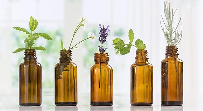 Labcos sở hữu nguồn nguyên liệu mỹ phẩm thiên nhiên chất lượng cao