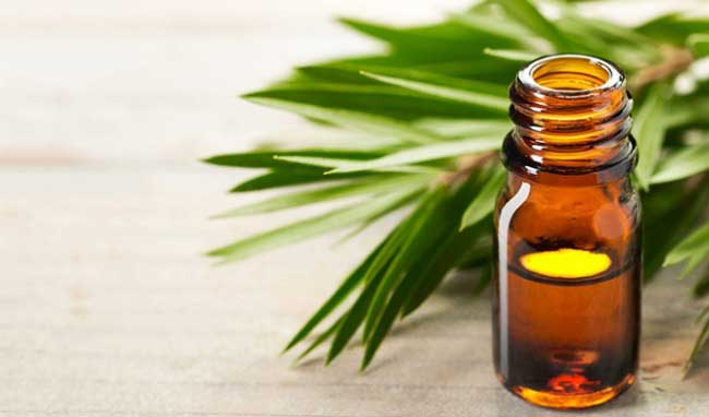 Lựa chọn nguồn nguyên liệu an toàn giúp đảm bảo chất lượng cho sản phẩm mỹ phẩm đầu ra.