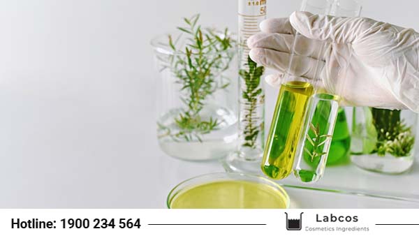 Dịch vụ cung cấp nguyên liệu mỹ phẩm chất lượng tại Quận 5 - TPHCM - Labcos