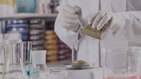 nguyên liệu hóa mỹ phẩm là gì