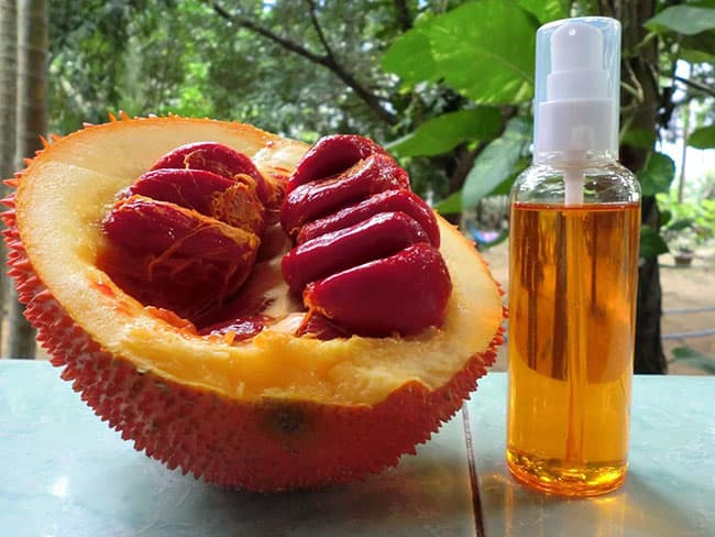 Dầu gấc được chiết xuất theo công nghệ ép lạnh đem lại những dưỡng chất có lợi