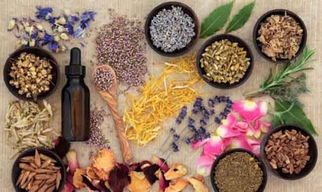 Cung cấp nguyên liệu mỹ phẩm đa dạng, nhiều lựa chọn.