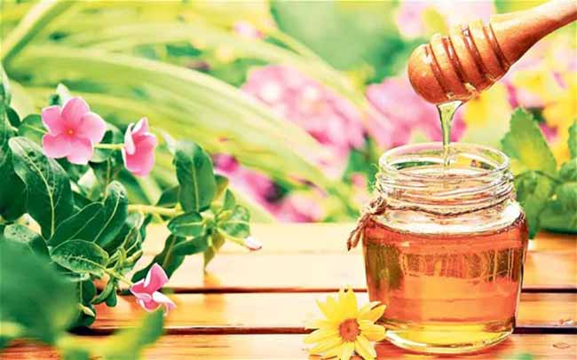 Labcos là công ty chuyên cung cấp nguyên liệu gia công mỹ phẩm handmade chất lượng cao.