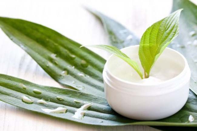 Mỹ phẩm thiên nhiên đem đến những sản phẩm với chất lượng tốt nhất.