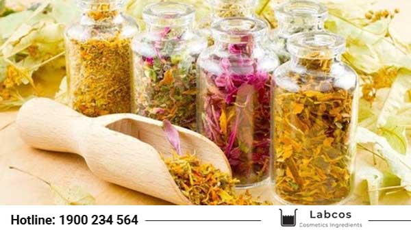 Cung cấp nguyên liệu mỹ phẩm Phú Thọ