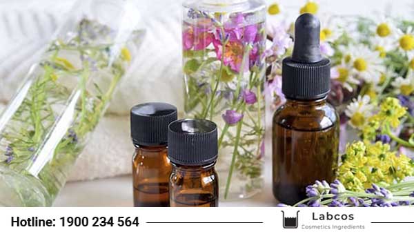 Cung cấp nguyên liệu mỹ phẩm chất lượng tại Thái Nguyên