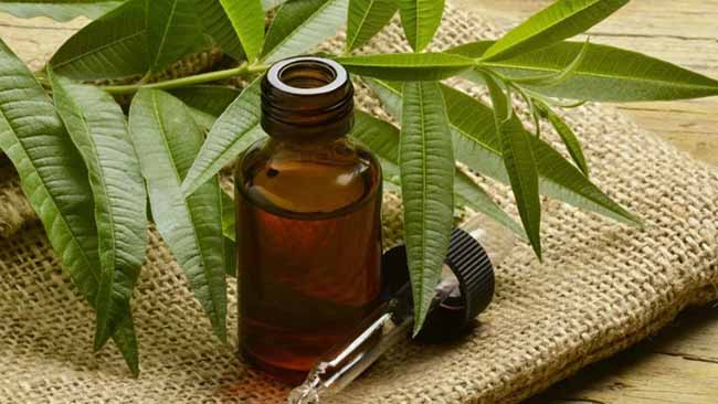 Người dùng sẵn sàng chi tiêu cao hơn cho mỹ phẩm đắt tiền