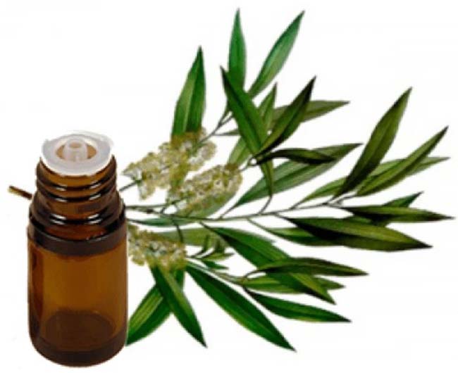 Labcos cung ứng nguồn nguyên liệu mỹ phẩm an toàn, uy tín tại Bình Phước.