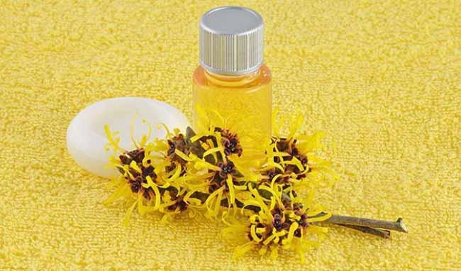 Chất lượng nguyên liệu là yếu tố then chốt tạo nên chất lượng cho sản phẩm.