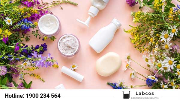 Cung cấp nguyên liệu mỹ phẩm Yên Bái