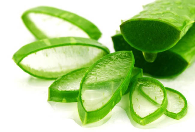 Nha Đam là nguyên liệu trị mụn hiệu quả.