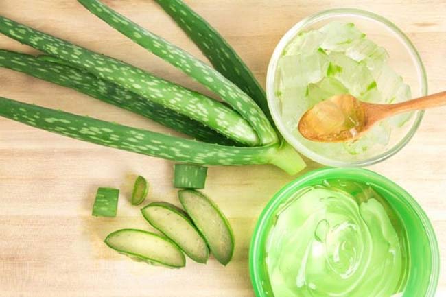 Nha Đam là nguyên liệu trị nám da hiệu quả hàng đầu.