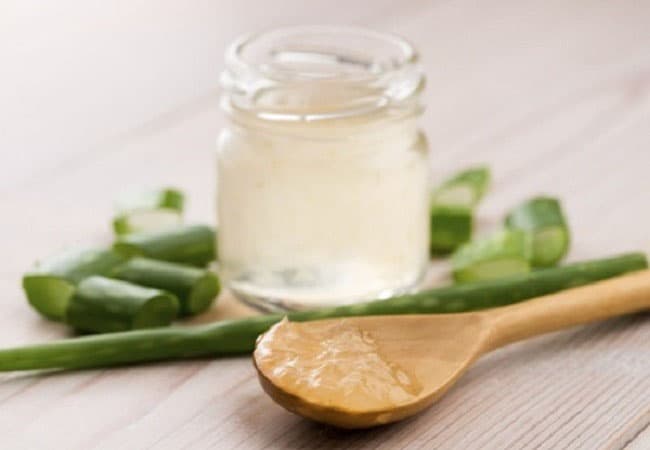 Nha đam có đặc tính, mát, kháng khuẩn, giảm viêm và ưu điểm dễ sử dụng.
