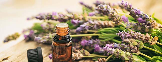 Nhu cầu tiêu dùng mỹ phẩm thiên nhiên hiệ nay rất lớn.