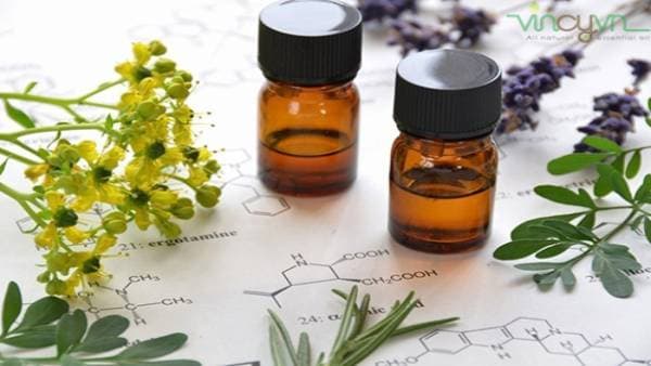 Nhưng ứng dụng của tinh dầu thiên nhiên trong mỹ phẩm