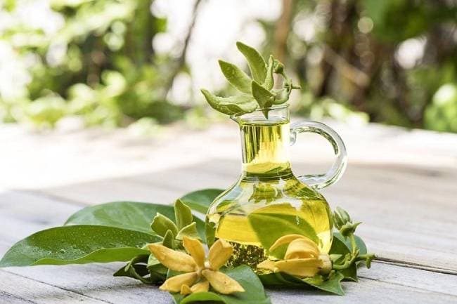 Tinh dầu ngọc lan tây