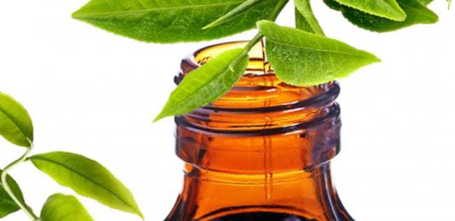 Tinh dầu trà xanh