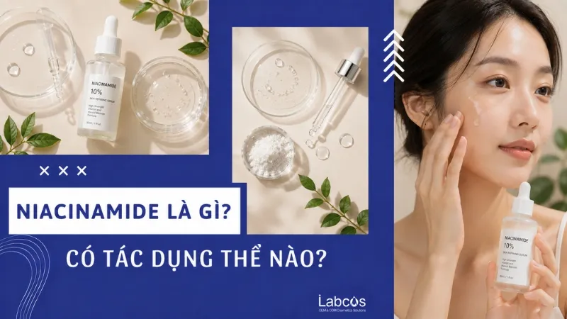 niacinamide-la-gi-co-tac-dung-the-nao