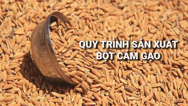 Quy trình sản xuất bột Cám Gạo