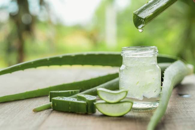 Labcos sản xuất gel Nha Đam tươi, an toàn cho người dùng