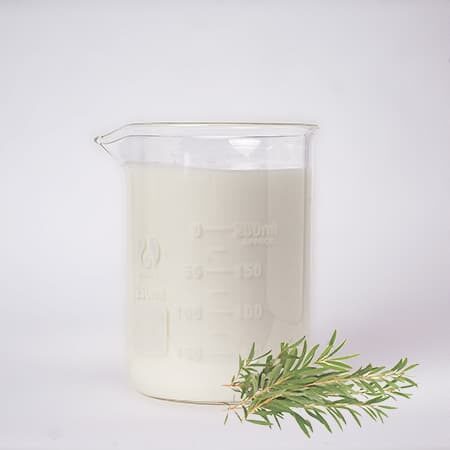 Sữa Rữa Mặt Tràm Trà Labcos