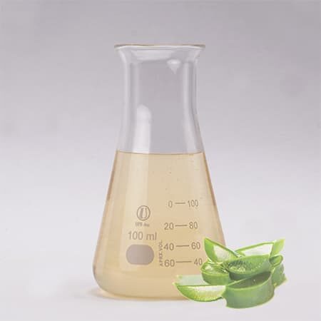 Chiết Xuất Nha Đam Labcos