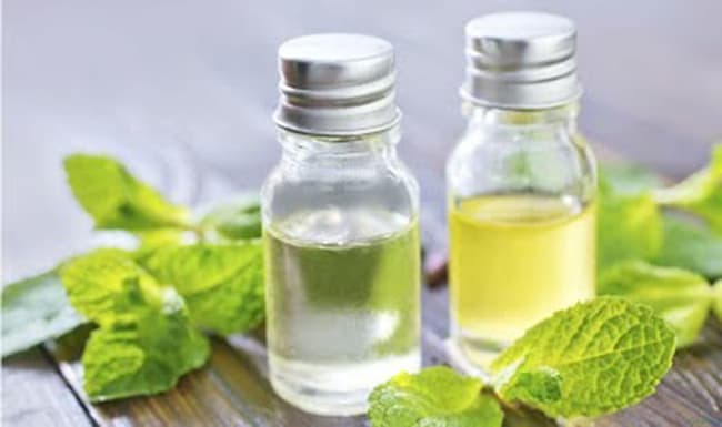 Chúng tôi đang có hơn 500 công thức gia công & sản xuất mỹ phẩm từ các nguyên liệu thiên nhiên; đã được đăng ký bằng sáng chế và chứng nhận