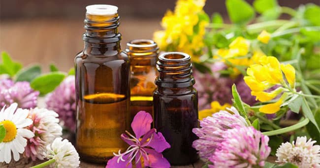 Thiết kế bao bì cần đem lại cho khách hàng cảm giác tươi mới, xuất phát từ thiên nhiên.