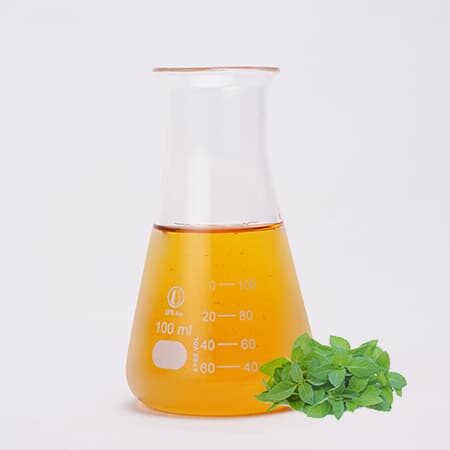 Tinh dầu Hương Nhu Labcos