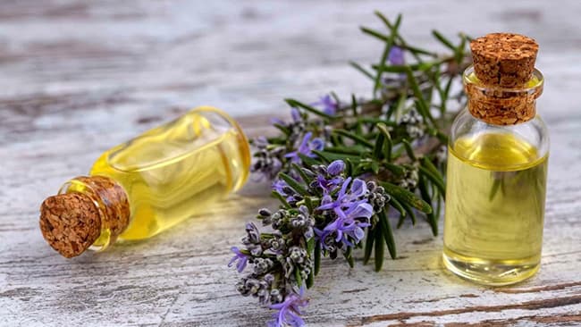 Tinh dầu Hương Thảo được biết đến với khả năng chống oxy hóa tốt.