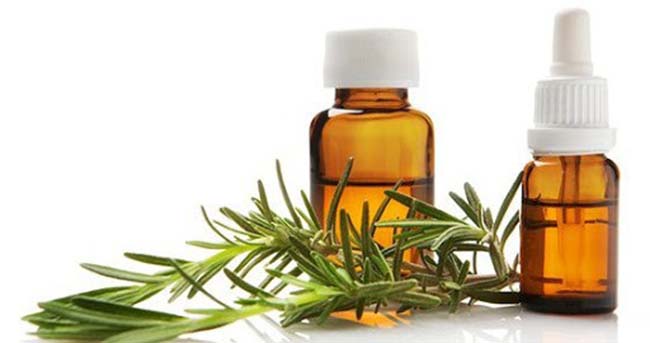 Tinh dầu Hương Thảo giúp kháng viêm, giảm đau và chống oxy hóa.