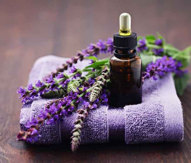 Tinh dầu Oải Hương có tác dụng tốt trong trị mụn và giảm thâm sẹo.