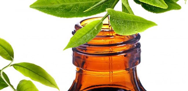 Tinh dầu trong dầu gội có ưu điểm kháng viêm và kháng khuẩn
