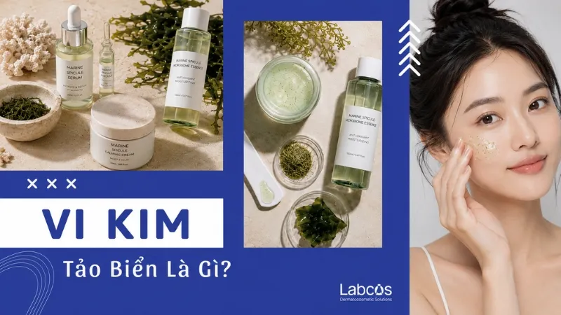 vi-kim-tao-bien-la-gi