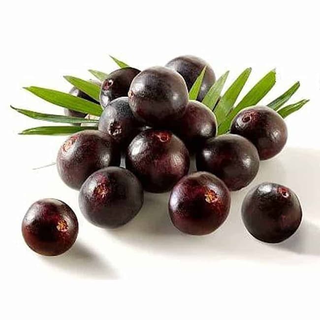 Acai có bề ngoài nhìn gần giống như quả Việt Quất.